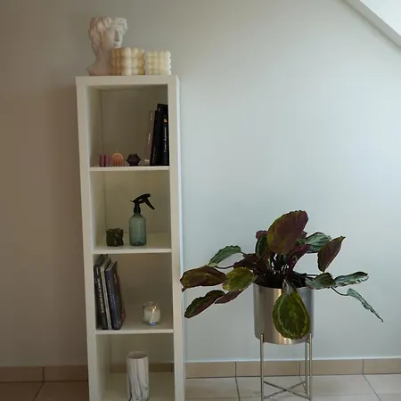 Apartment Tranquillite Au Coeur D'amiens Amiens